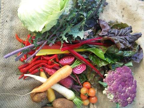 Photo: Birdsong Market Garden